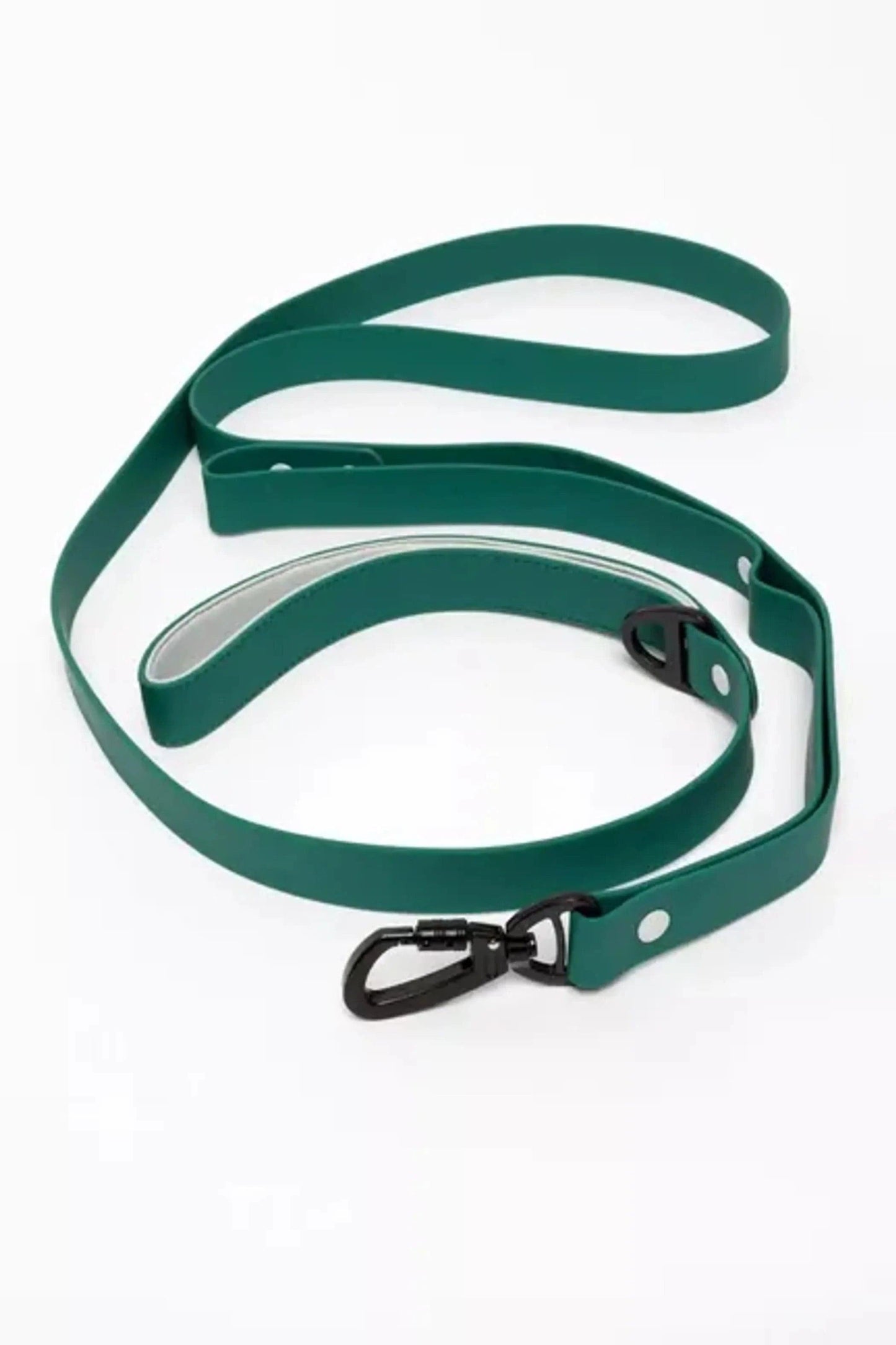 Siberian Spruce Waterproof Dog Leash - Pawtastic Pet Supplies