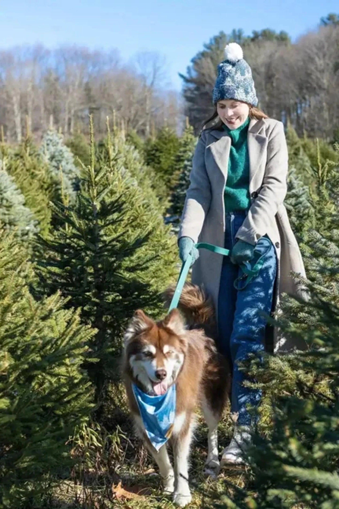 Siberian Spruce Waterproof Dog Leash - Pawtastic Pet Supplies