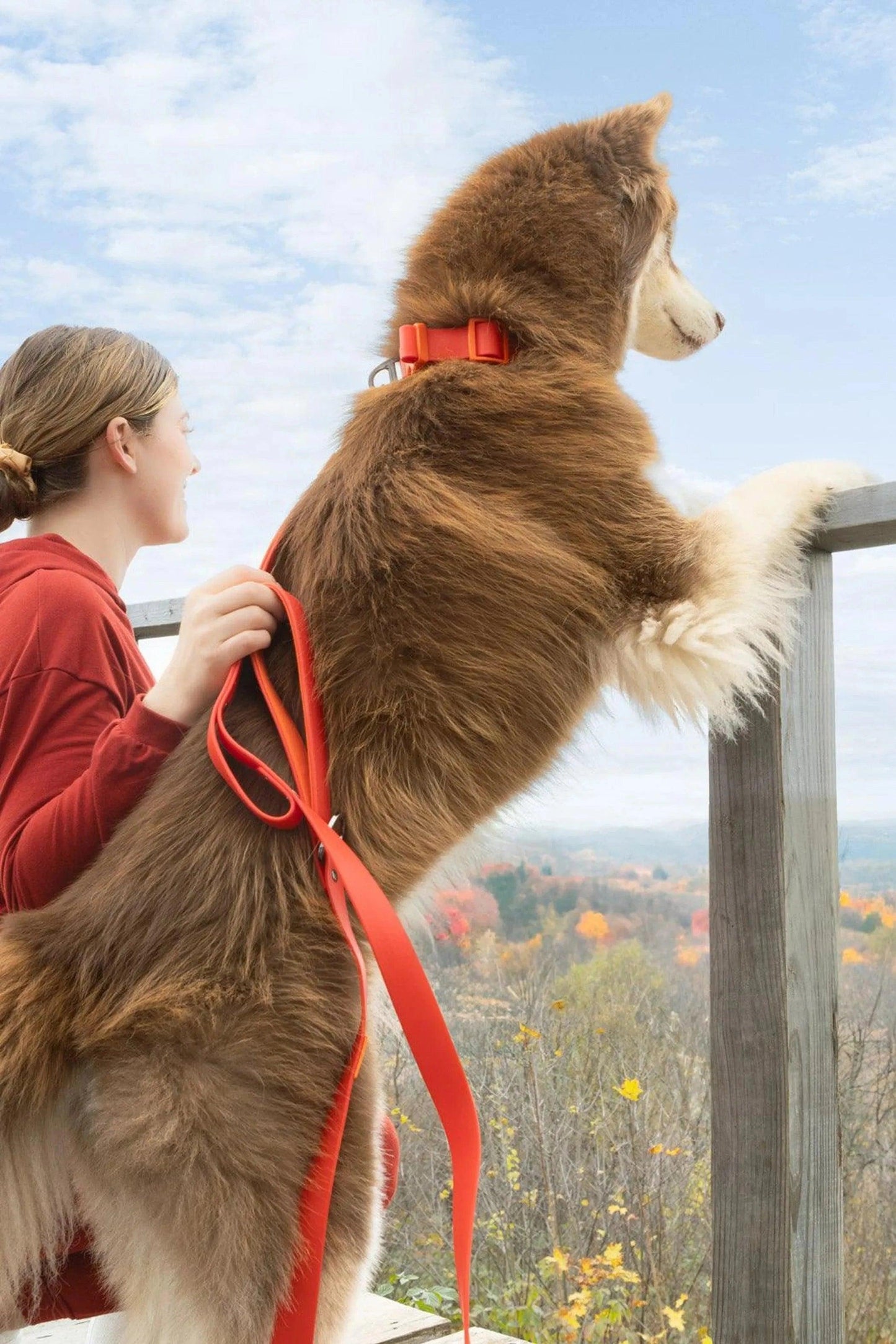 Scarlet Peaks Waterproof Leash - Pawtastic Pet Supplies