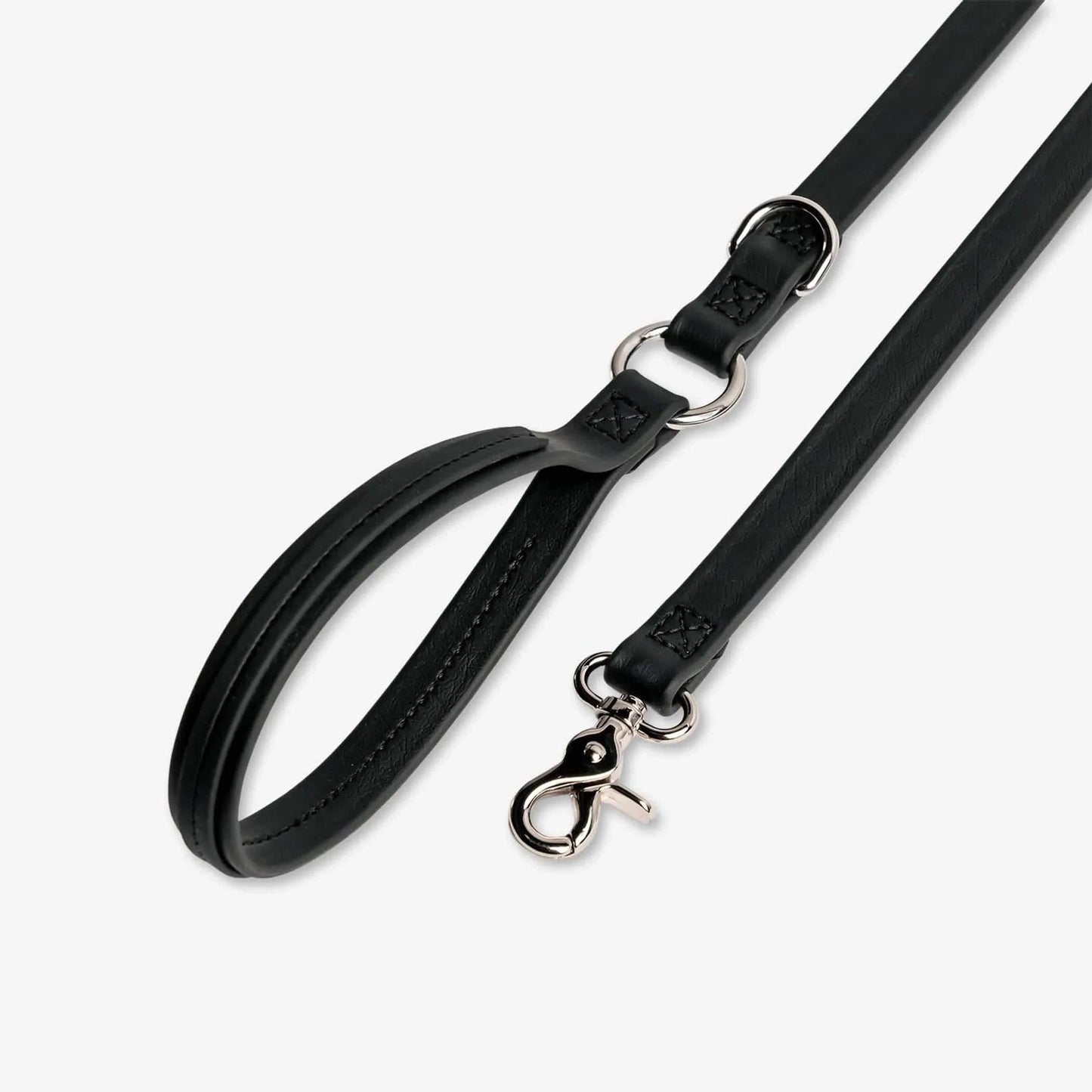Jump Around - Pawtastic Pet Supplies