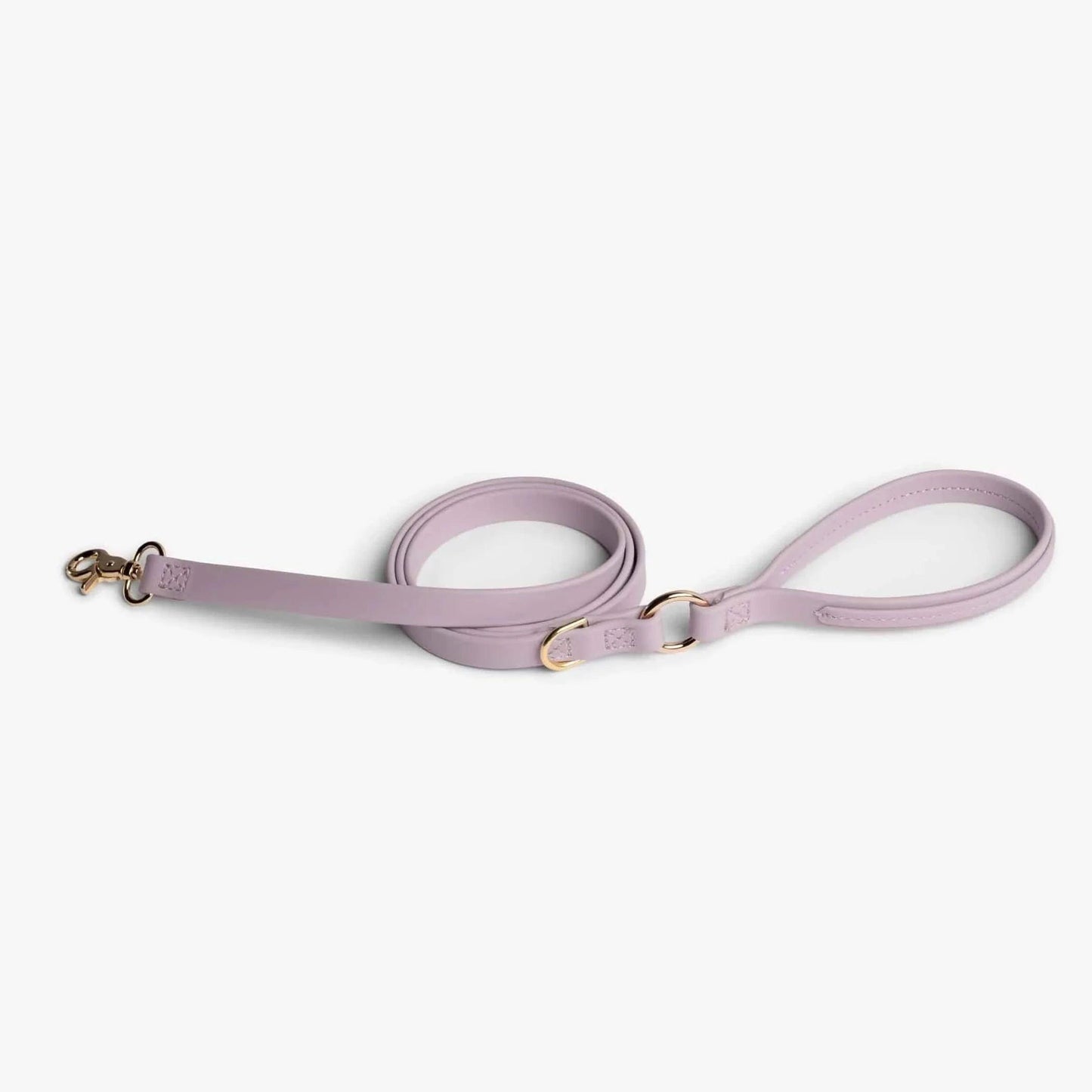 Jump Around - Pawtastic Pet Supplies