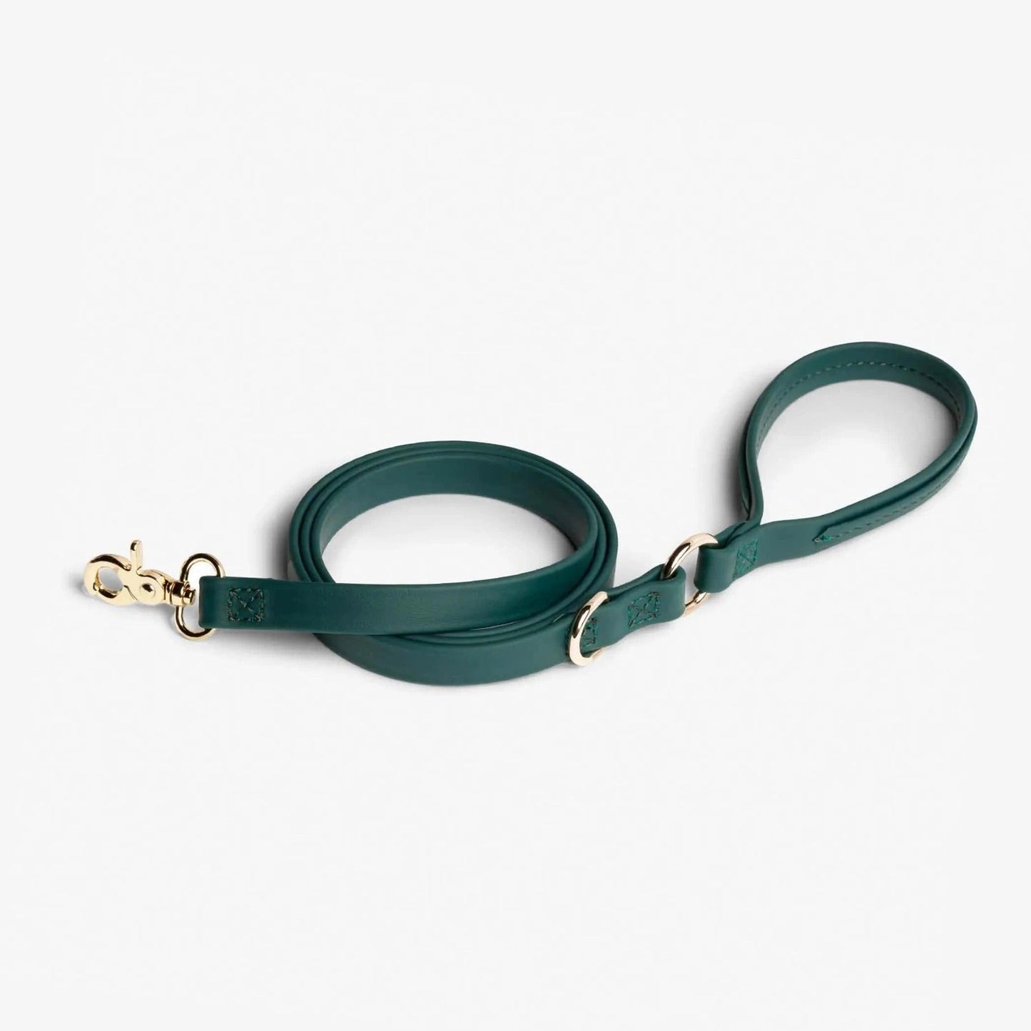 Jump Around - Pawtastic Pet Supplies