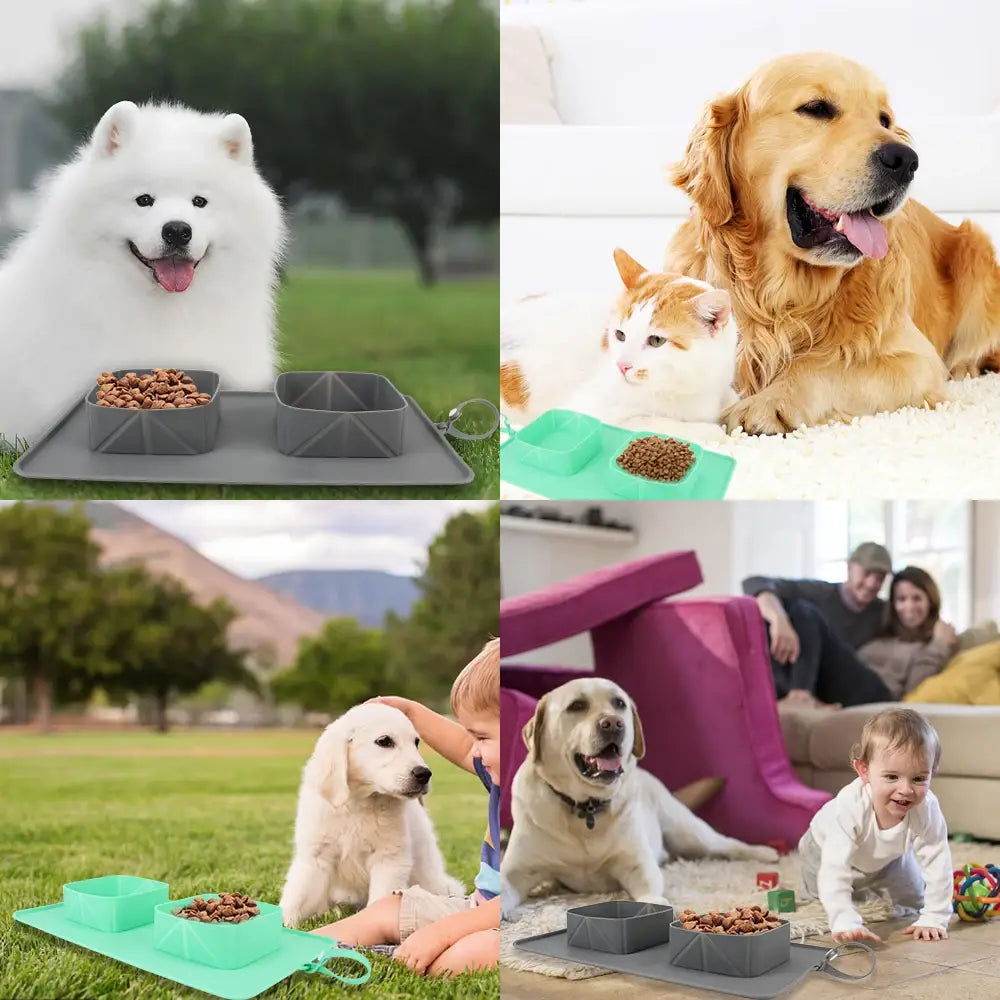 Silicone Pet Feeding Mat with Folding Double Bowls for Easy Cleanup