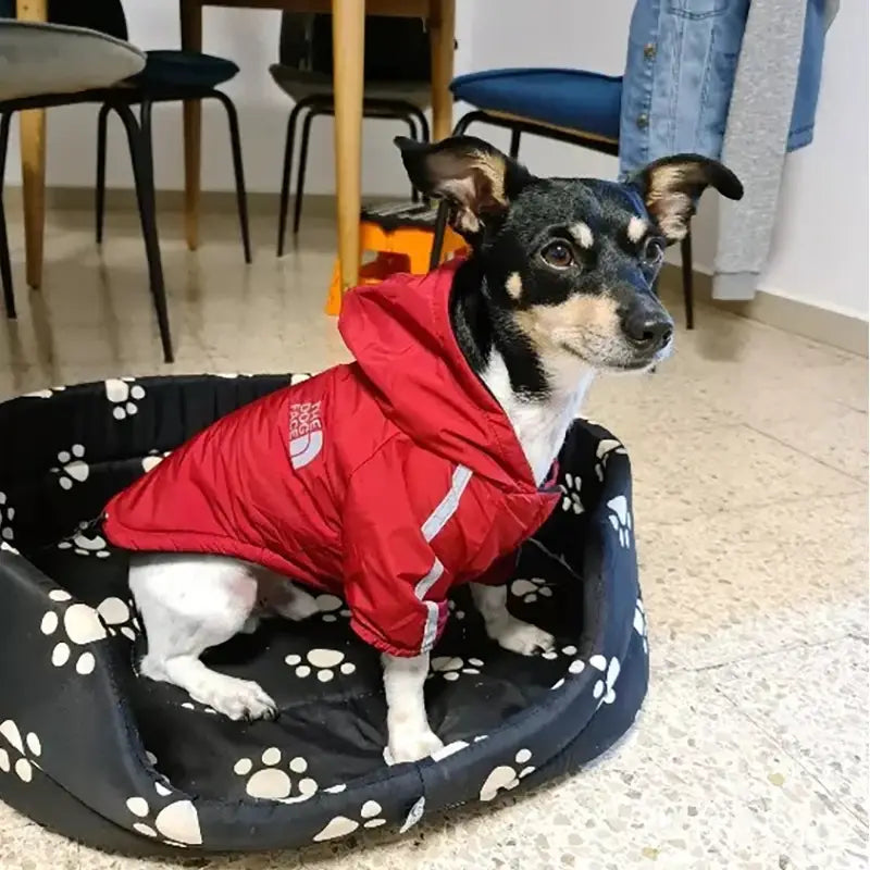 North Face Waterproof Reflective Pet Coat for Small Medium Dogs