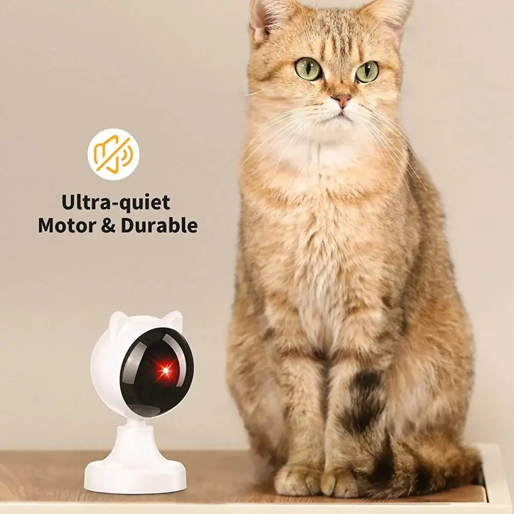 automatic cat laser