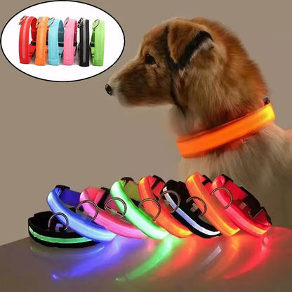 Pet Dogs Luminous Fluorescent Dog Accessories Collar Reflective LED Dog Collar Nylon Night Safety Flashing Glow in the Dark