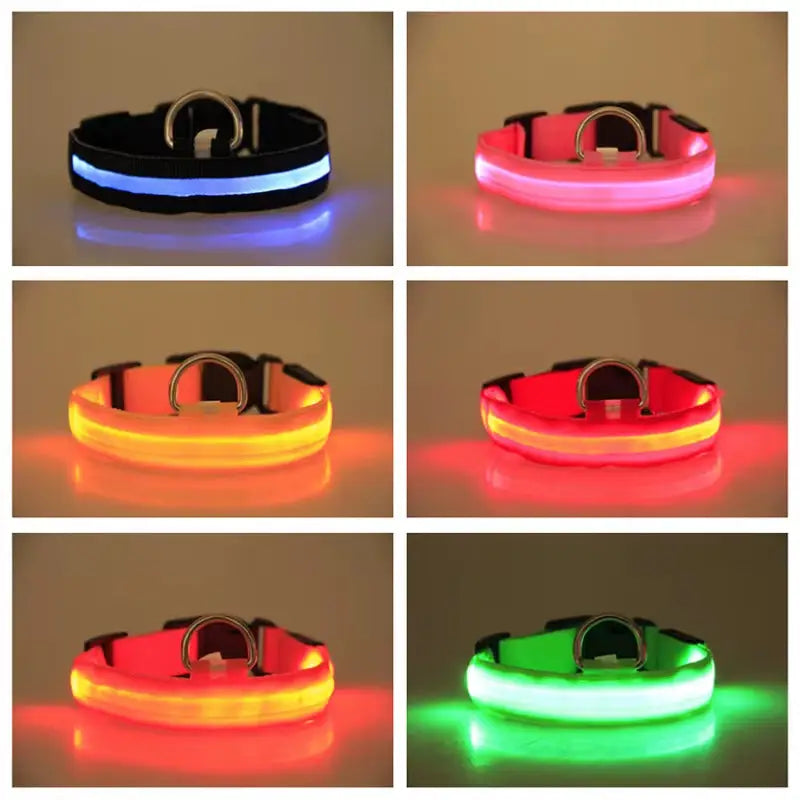 Pet Dogs Luminous Fluorescent Dog Accessories Collar Reflective LED Dog Collar Nylon Night Safety Flashing Glow in the Dark