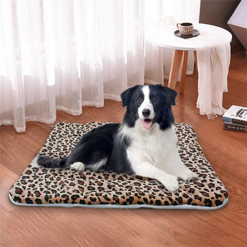 Blanket dog mat - Accessory