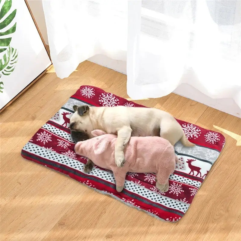 Blanket dog mat - Accessory