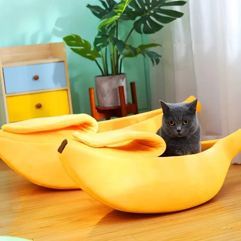 Gray cat sitting inside a bright yellow banana-shaped bed.