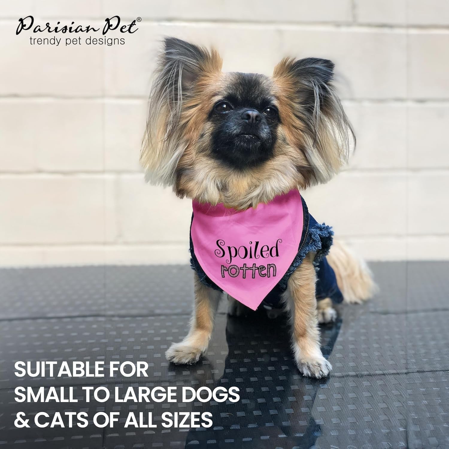 Dog Bandanas with Printed 'Spoiled Rotten' Word - Tie-On Adjustable Bandana for Dogs - Female Dog Scarf for Large Dogs - Triangle Cat and Dog Bib - Pink Handkerchief for Pets - L