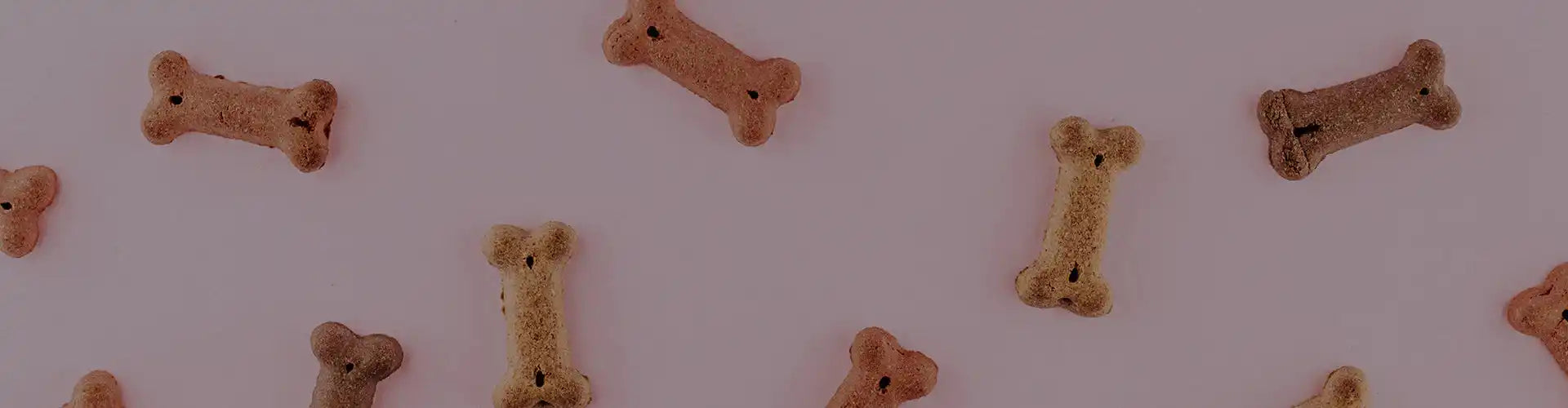 Dog bone-shaped treats scattered in a repeating pattern.