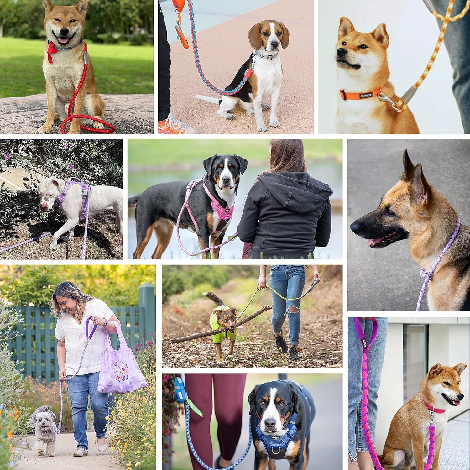 Dog Leash - Puppy Essentials with Comfortable Neoprene Handle | Dog Leashes for Large Dogs Heavy Duty | 4Ft Strong Rope Leash in Rouge Red, Durable & Eco-Friendly