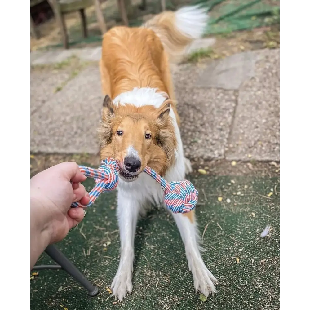 Dog Toy Pack of 4 Large Dog Toys for Aggressive Chewers - Dog Ropes & Ball