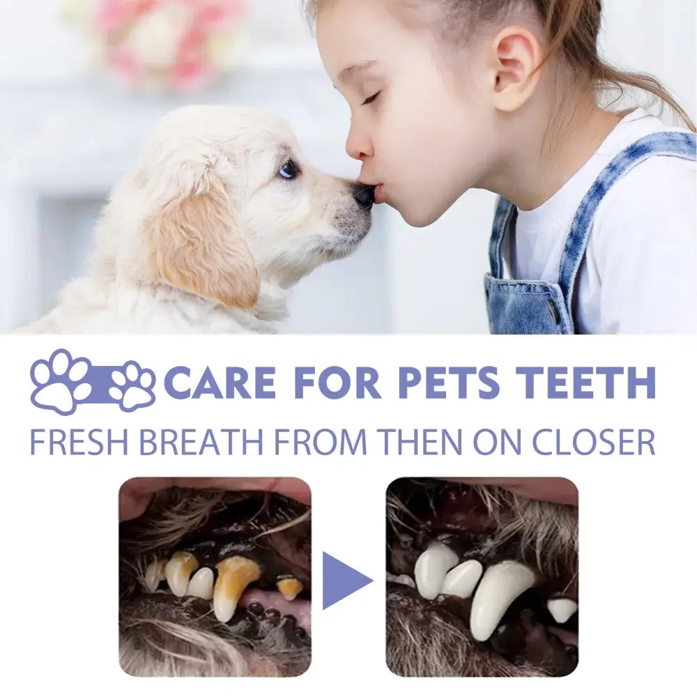 A pet dental care advertisement showing a puppy and child sharing a close moment, with before/after teeth cleaning images below.