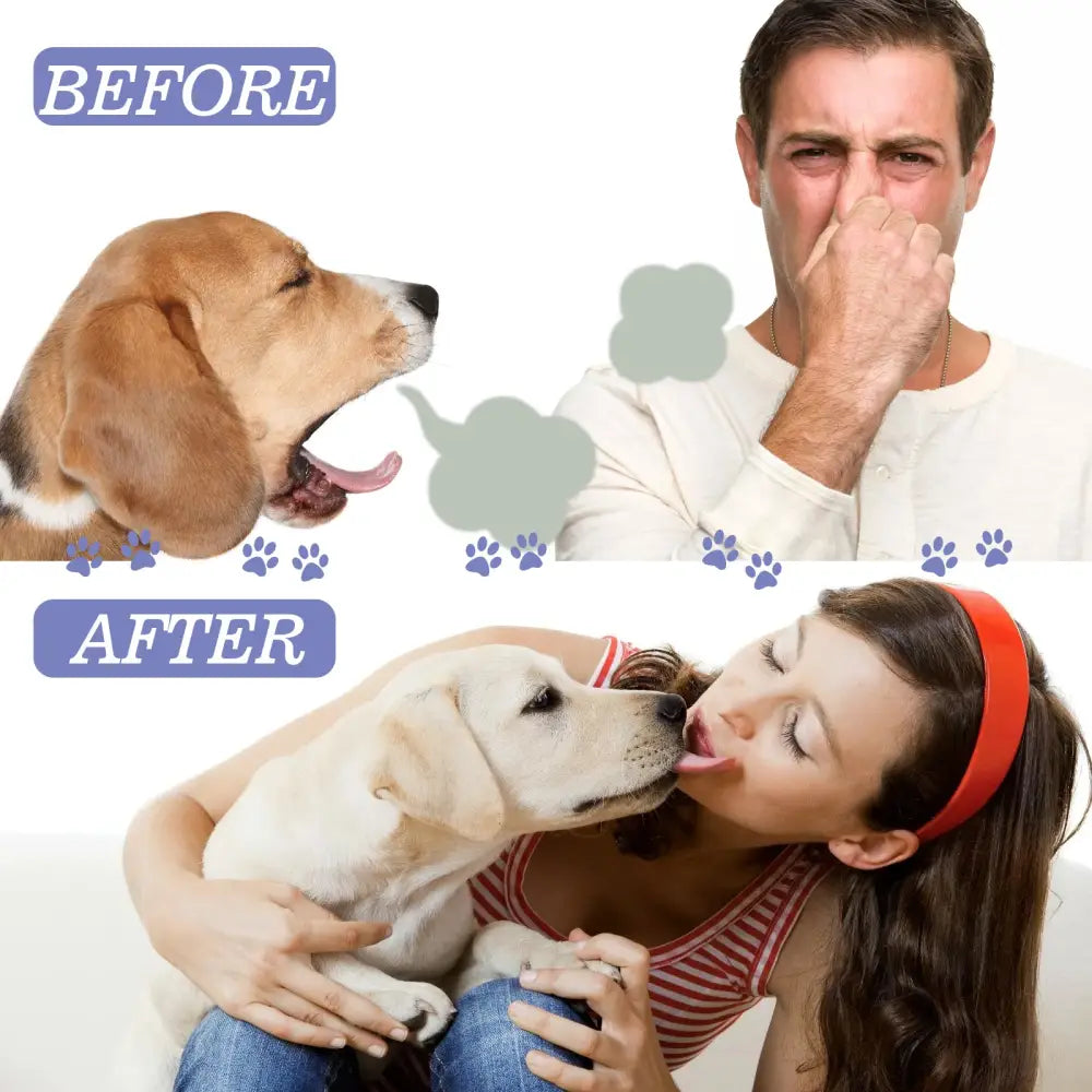 Easy Pet Oral Cleanse Spray for Dogs and Cats 50ml