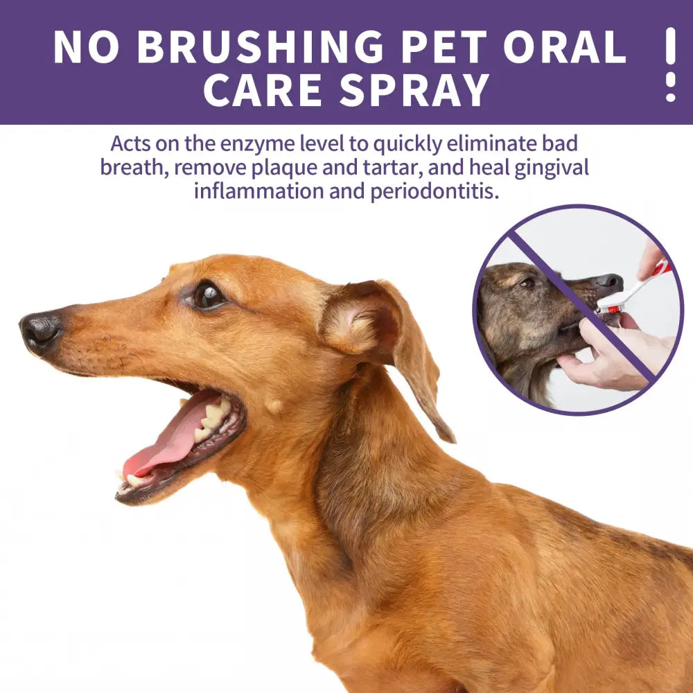 Easy Pet Oral Cleanse Spray for Dogs and Cats 50ml