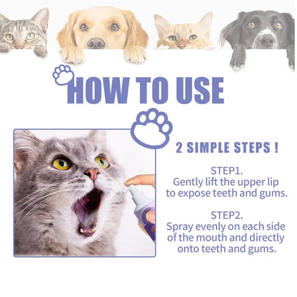 Instructions for administering oral care to pets, featuring cats and dogs peeking over the top and a demonstration photo.