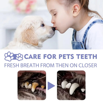 A pet dental care advertisement showing a puppy and child sharing a close moment, with before/after teeth cleaning images below.