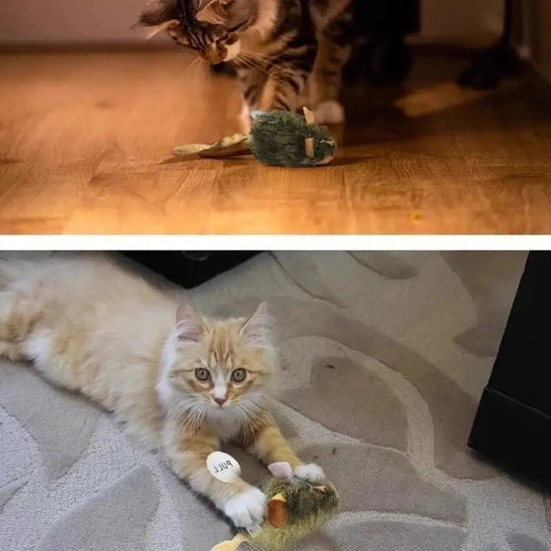 Two cats playing with catnip toys.