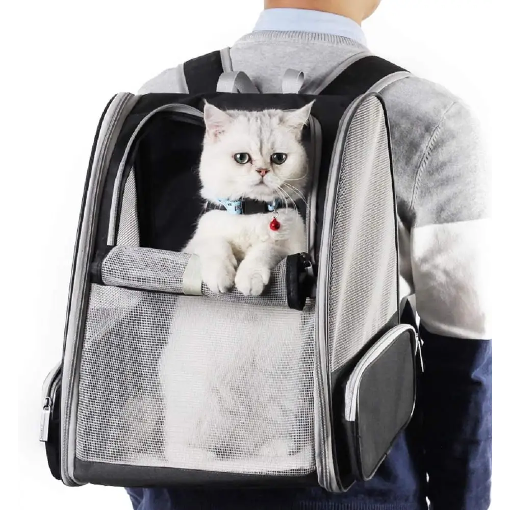 Innovative Traveler Bubble Backpack Pet Carriers for Cats and Dogs (Black)