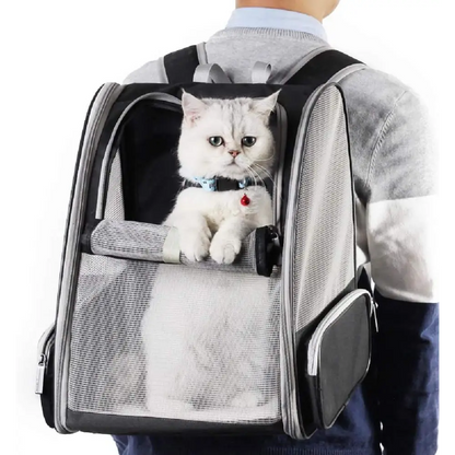 Innovative Traveler Bubble Backpack Pet Carriers for Cats and Dogs (Black)