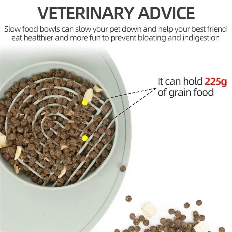 Slow feeder dog bowl with maze-like ridges containing kibble.