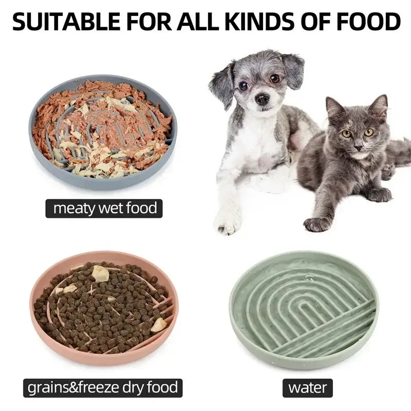 A pet food and water bowl set showing different types of food options for cats and dogs.