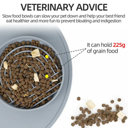 Spiral-shaped slow feeder bowl containing dry pet food kibbles.