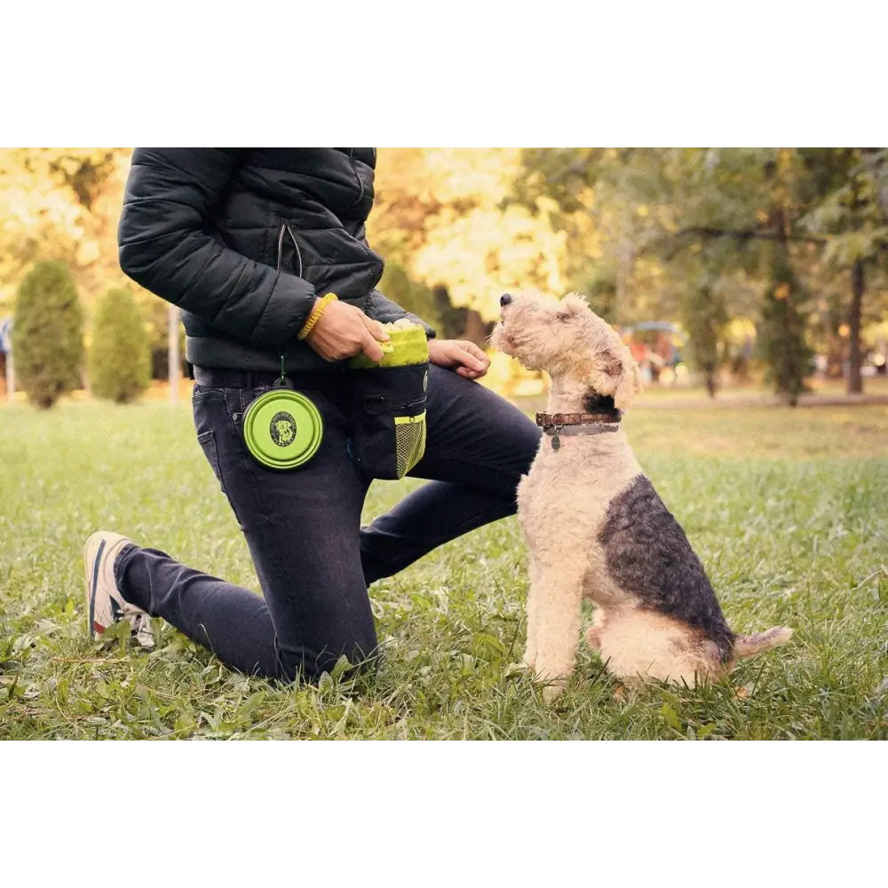 Dog Treat Pouch - Premium Training Treat Bag with Clicker and Collapsible Bowl for Dogs, Adjustable Waist and Shoulder Reflective Straps and Belt Clip, Ideal for Pet Obedience and Agility Training