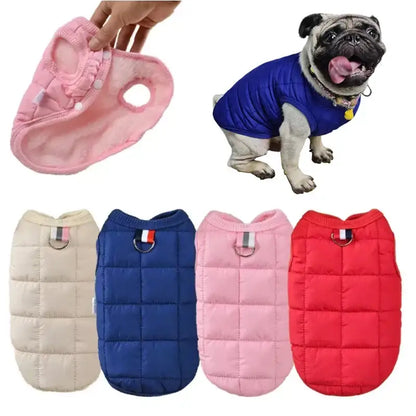 Padded winter dog vests in beige, blue, pink and red colors.