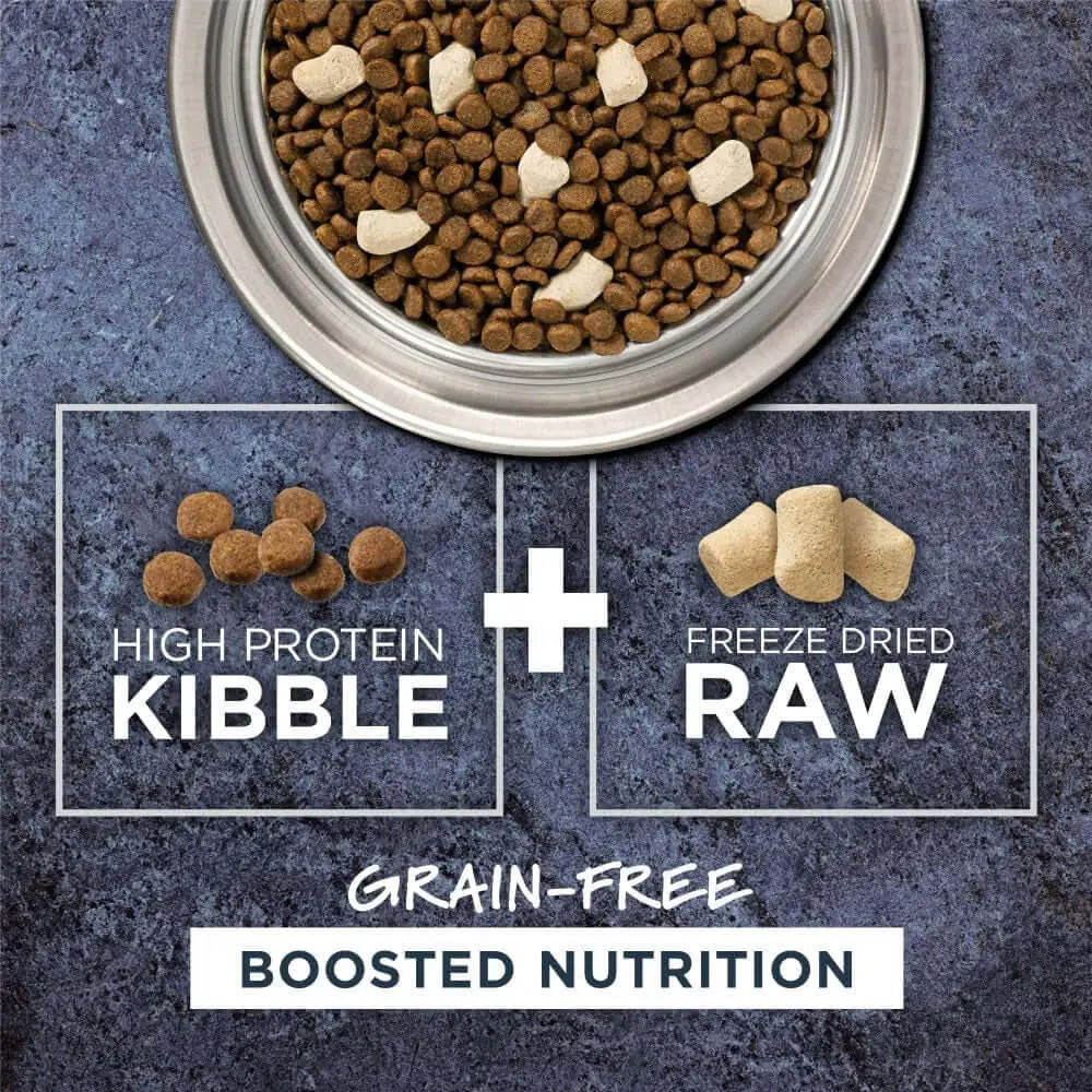 grain free cat food