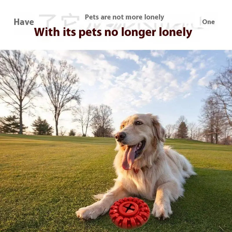 Happy Golden Retriever lying on grass with a red circular toy.