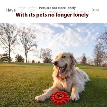 Happy Golden Retriever lying on grass with a red circular toy.