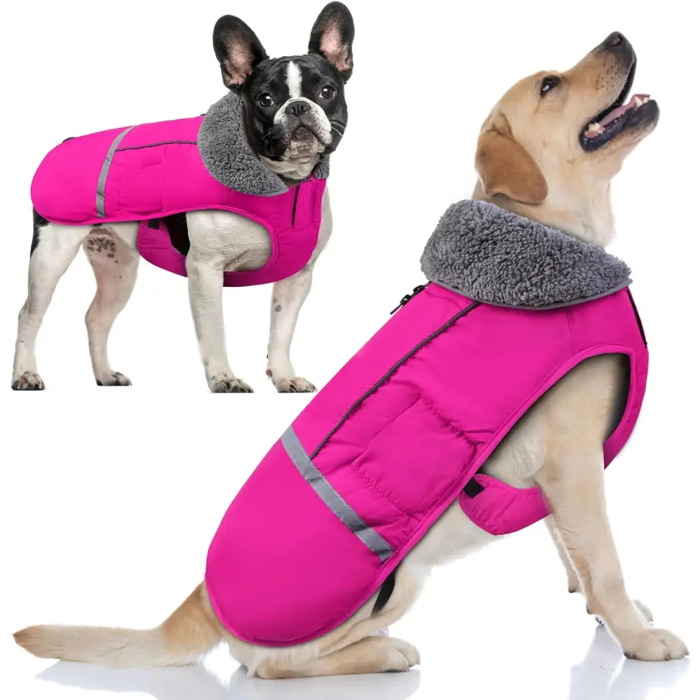 waterproof dog winter coat