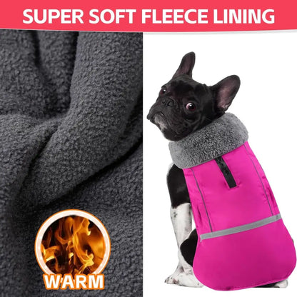 waterproof dog winter coat