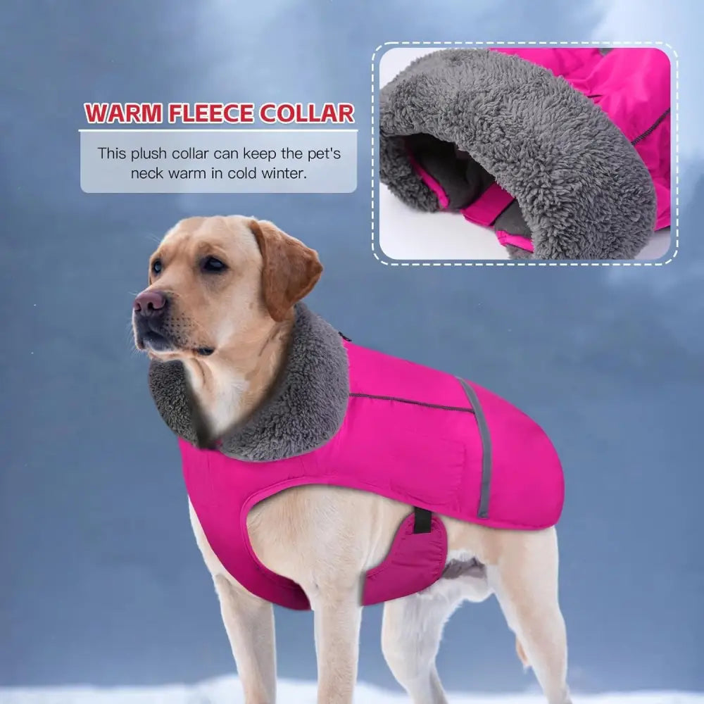 waterproof dog winter coat