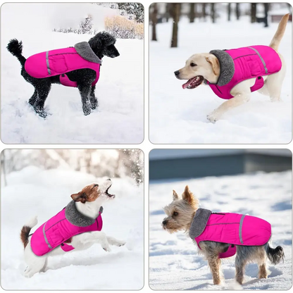 waterproof dog winter coat