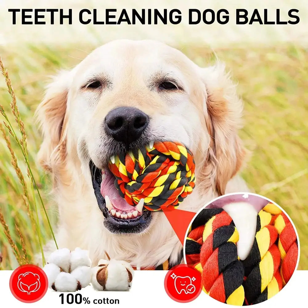 durable dog toys