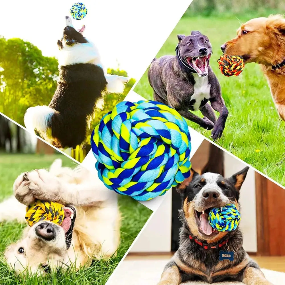 durable dog toys